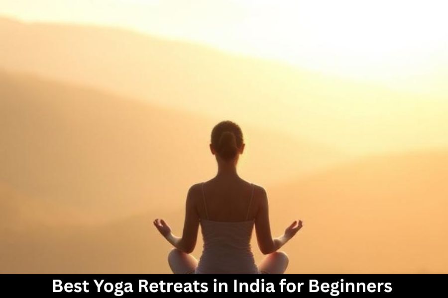 Best Yoga Retreats in India for Beginners